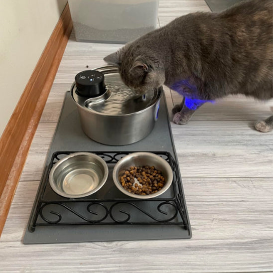 fontaine a eau pour chat avec chat gris