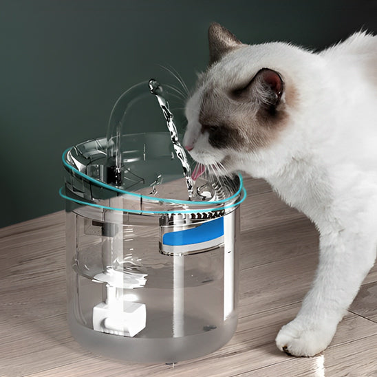 fontaine a eau pour chat avec chat oreille brun