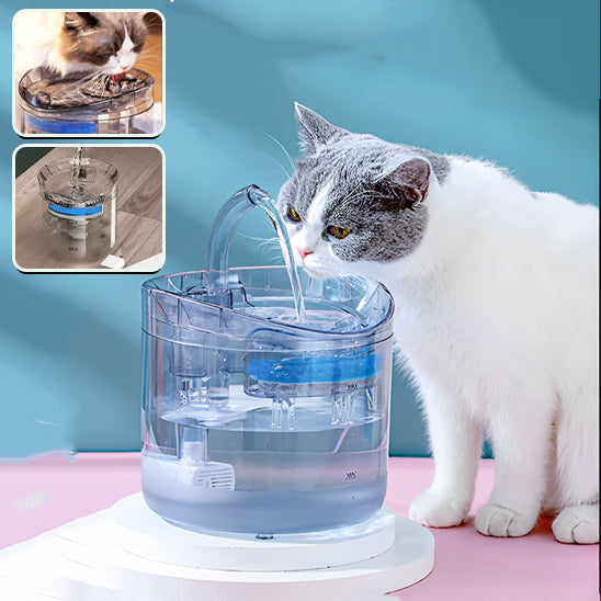 fontaine a eau pour chat avec chat tete grise