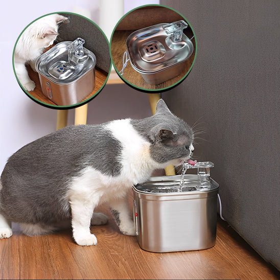 fontaine a eau pour chat avec deux image representative