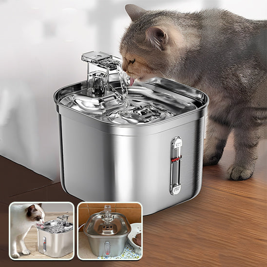 fontaine a eau pour chat avec gros chat gris avec deux images representative