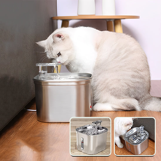 fontaine a eau pour chat avec image representative