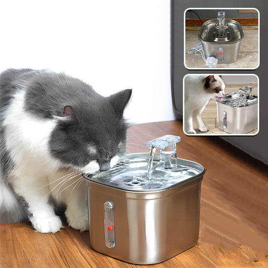 fontaine a eau pour chat gris avec image representative