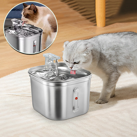 fontaine a eau pour chat gris qui boie