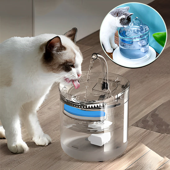 fontaine a eau pour chat qui boie