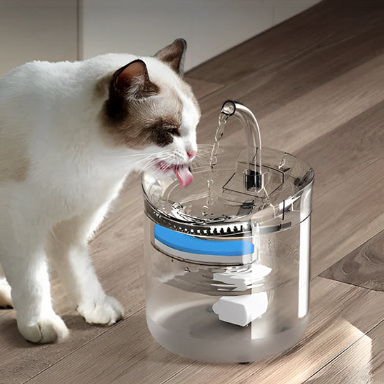fontaine a eau pour chat transparente avec chat qui boie