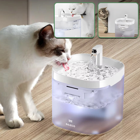 fontaine a eau pour chat