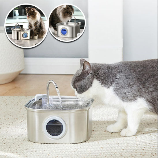 fontaine a eau pour chat CleanoCat_-avec chat qui bois
