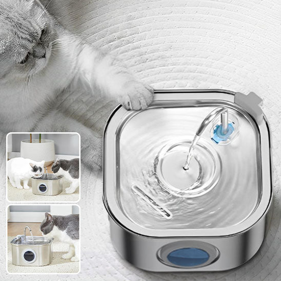 fontaine a eau pour chat CleanoCat avec chat qui touche