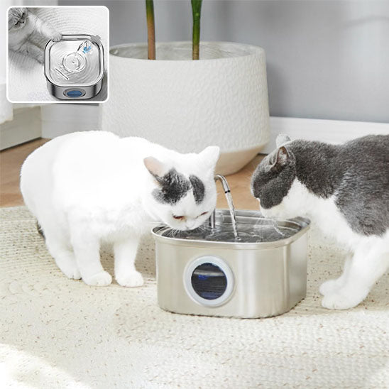 fontaine a eau pour chat CleanoCat_-avec deux chat qui boie