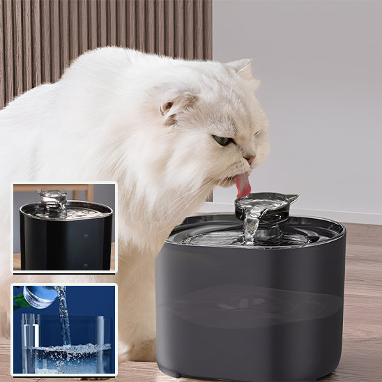 fontaine a eau pour chat FeedersCubi avec chat blanc