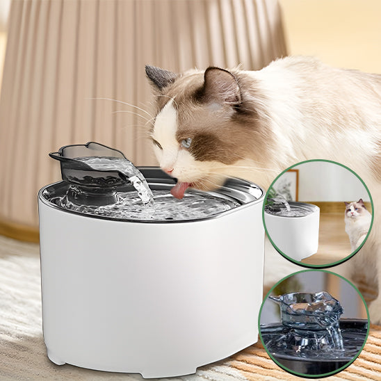 fontaine-a-eau_pour-chat-_FeedersCubi-avec-chat-deux-couleur