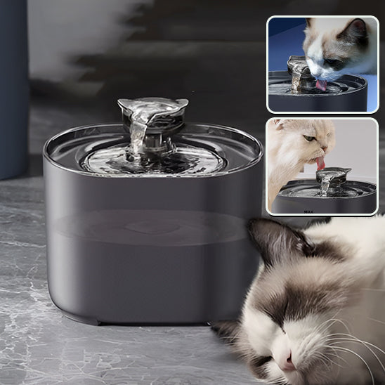 fontaine a eau pour chat FeedersCubi avec chat qui dort