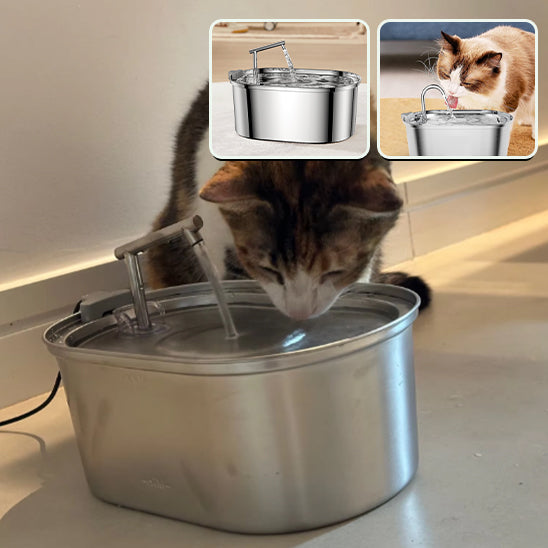fontaine a eau pour chat- FontainioCatâą
