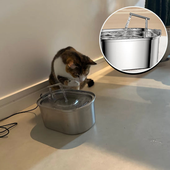 fontaine a eau pour chat- FontainioCatâą