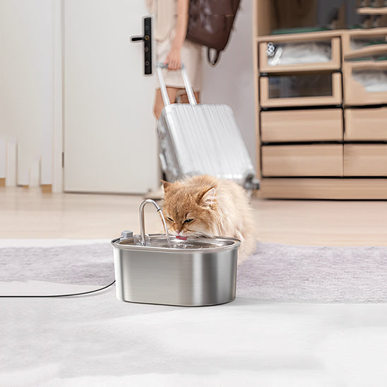 fontaine a eau pour chat- FontainioCatâą