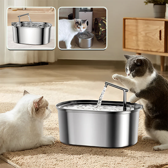fontaine a eau pour chat- FontainioCatâą