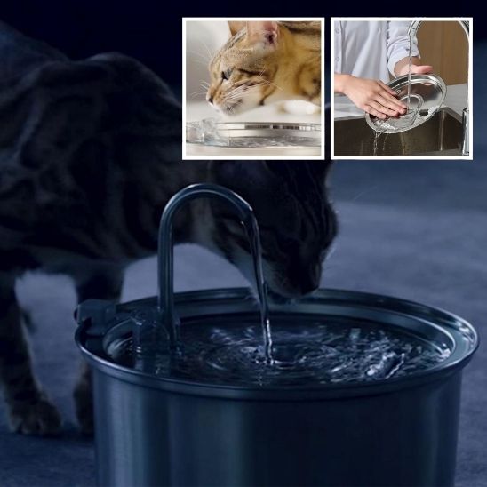 fontaine a eau pour chat Cattdrink avec image