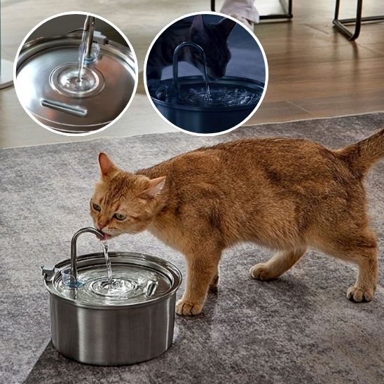 fontaine a eau pour chat Cattdrink avec petit chat couleur caramel