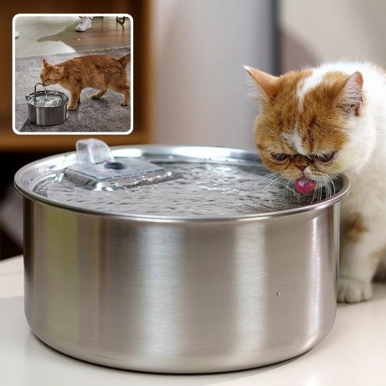 fontaine a eau pour chat Cattdrink avec petit chat blanch caramel