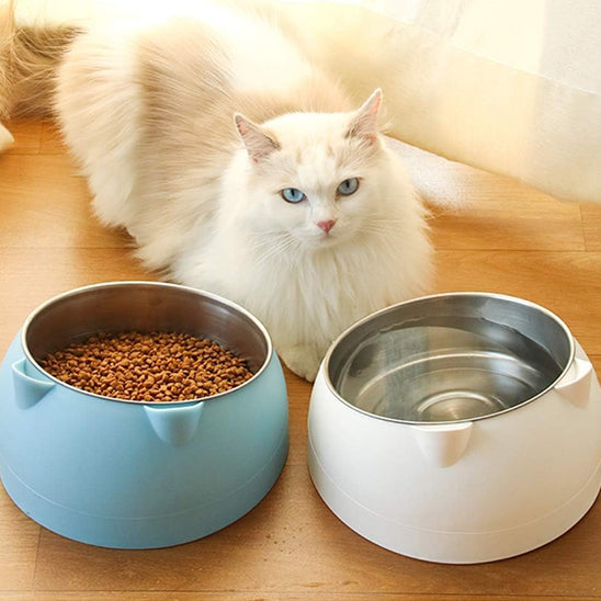 gamelle pour chat Catboler2 avec chat blanc