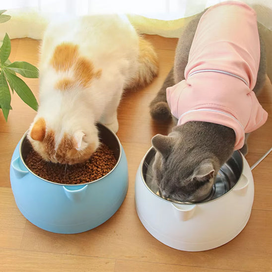 gamelle pour chat Catboler2 avec chat qui mange