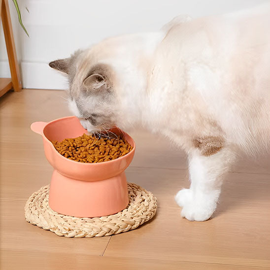 gamelle pour chat -Bibol™