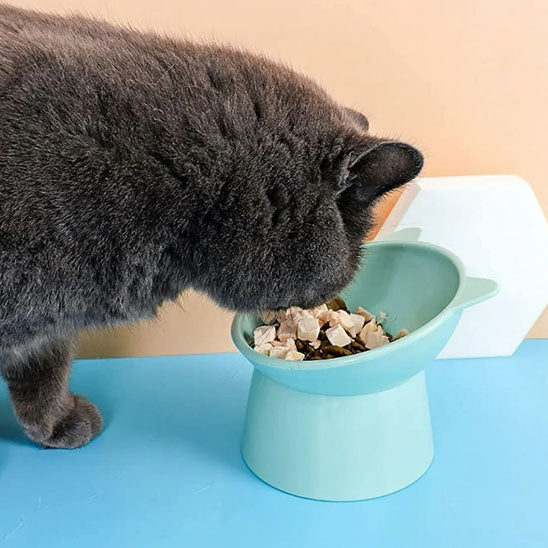 gamelle pour chat -Bibol™