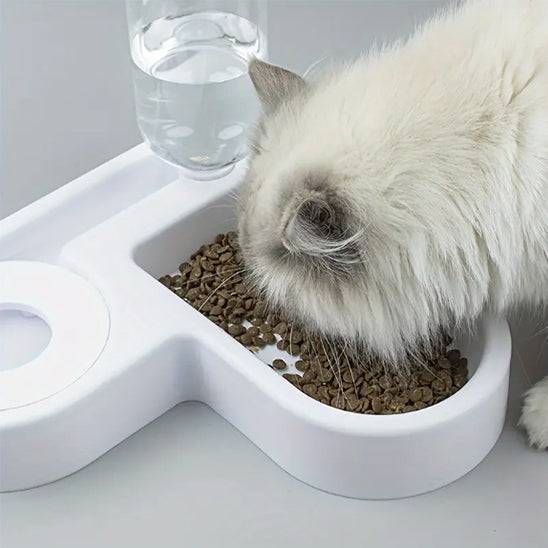 gamelle pour chat avec gros chat blanc qui mange