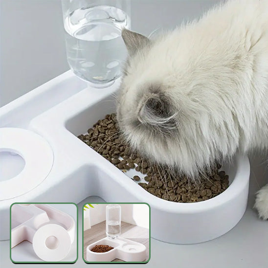 gamelle pour chat avec gros chat blanc qui mange avec image représentative