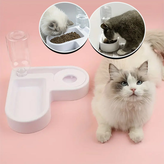 gamelle pour chat avec petit chat blanc coucher avec image representative