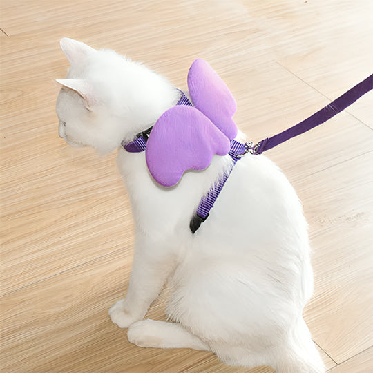 laisse pour chat avec ailes d'ange mauve