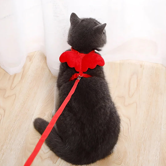 laisse pour chat avec ailes d'Ange rouge
