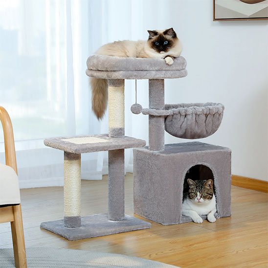 Petit arbre Ă chat | Compact