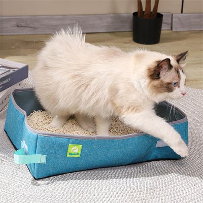 Bac à litière Chat | Pliable Turquoise
