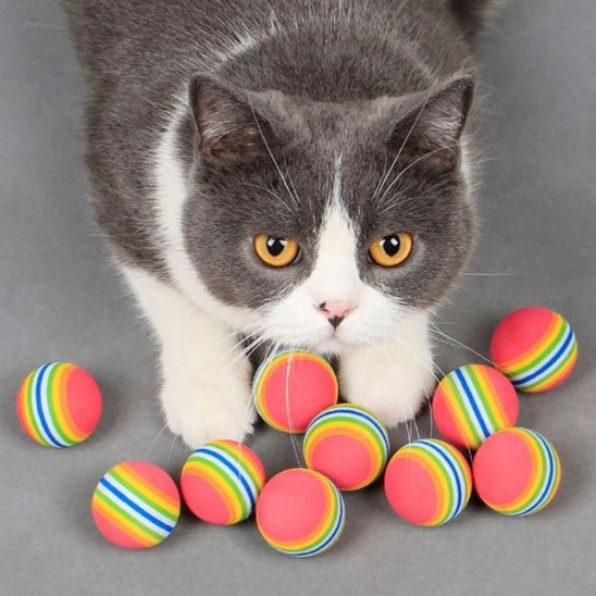 Jouet pour chat | Balles chasseuses