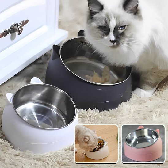 Gamelle chat | Inox Double