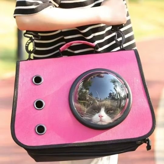 Sac transport chat | Capsule Spatiale