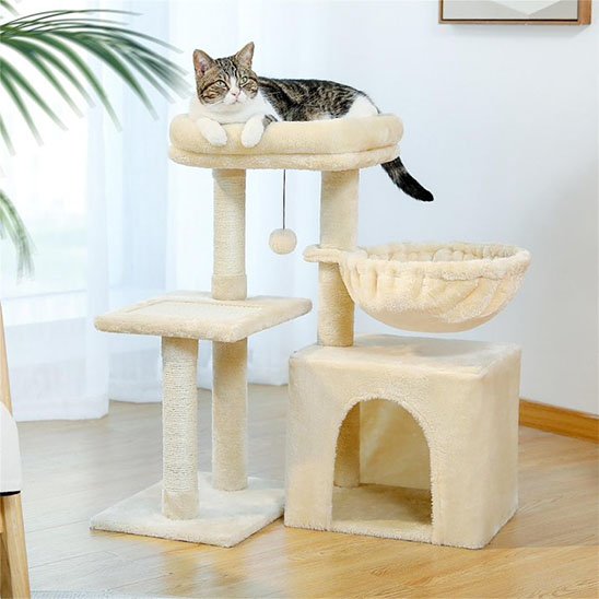 Petit arbre Ă chat | Compact