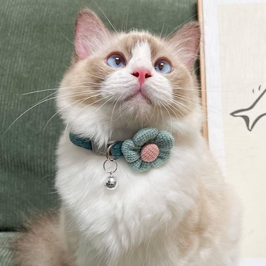 Collier chat | Fleur Crochetée Hypoallergénique