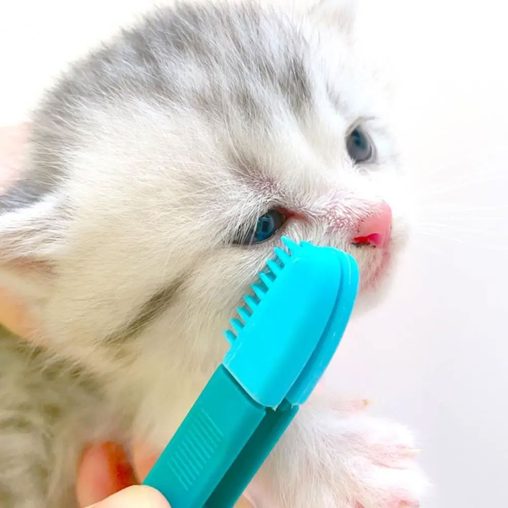Brosse pour Chat - CatEyeWipe™ - Bleu