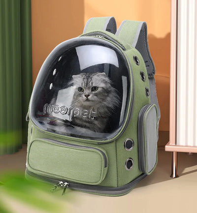 balade pour chat, gamelle chat