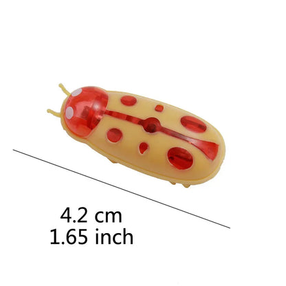 jouet pour chat-  buggo™