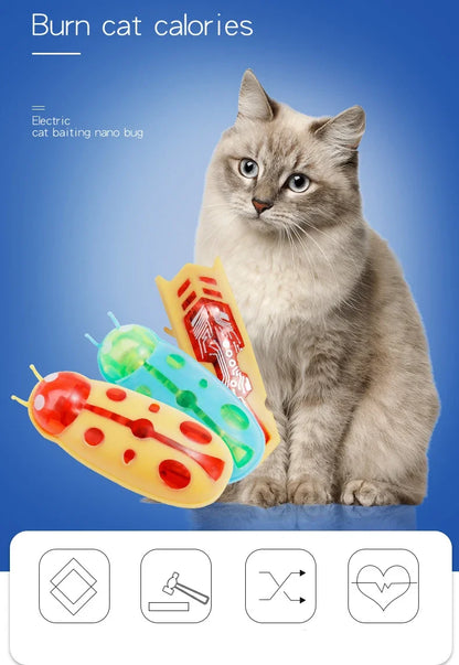 jouet pour chat-  buggo™