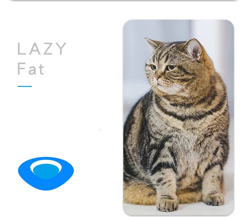 jouet pour chat-  buggo™