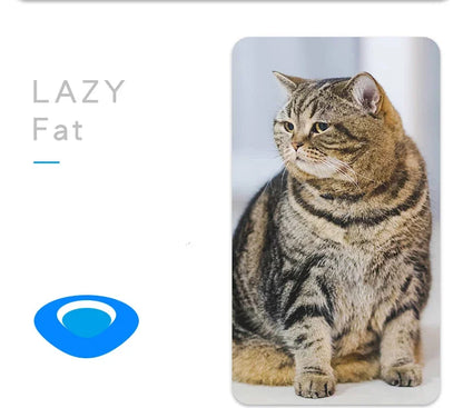 jouet pour chat-  buggo™