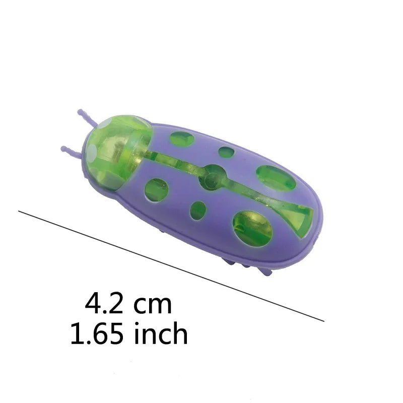 jouet pour chat-  buggo™