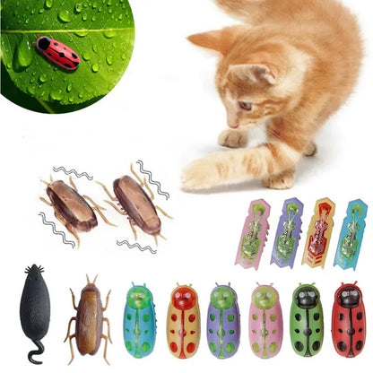 jouet pour chat-  buggo™