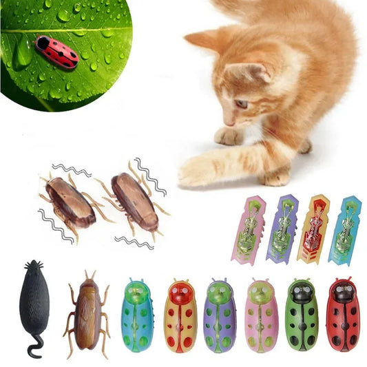 jouet pour chat-  buggo™