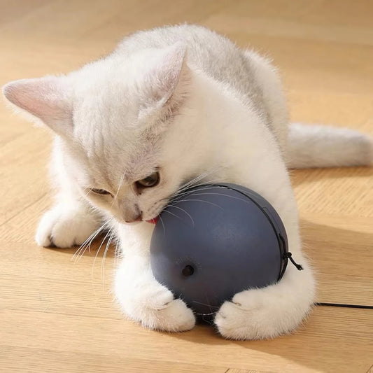 jouet pour chat- Intelobawlcat™